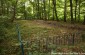 The site of the Jews mass grave in a forest close to Tyvriv   © Ellénore Gobry-Yahad-In Unum